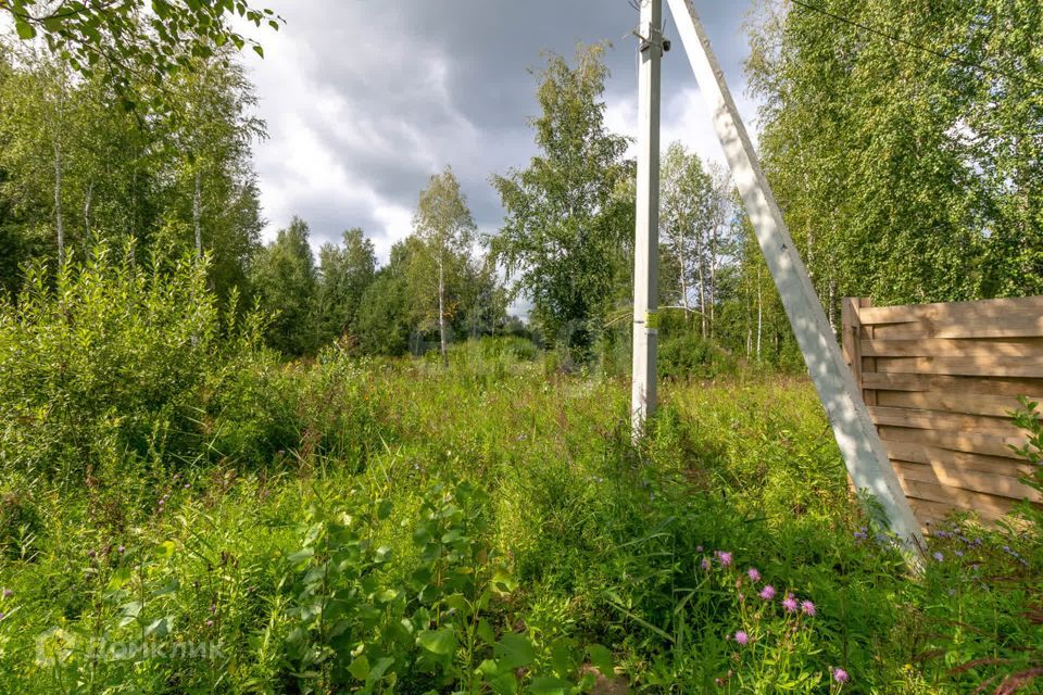 земля г Тюмень городской округ Тюмень, Верхний Бор фото 4