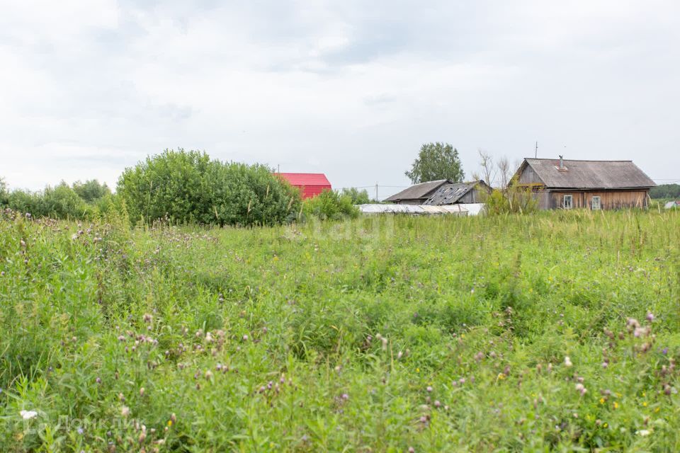 земля р-н Тобольский деревня Медянки Русские фото 7