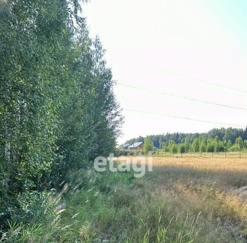 д Кузьминка Свердловское городское поселение фото