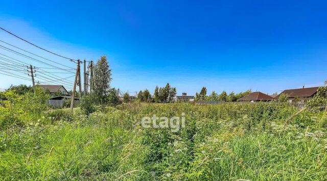 кп Ближняя пристань дор Ириновская Рахьинское городское поселение фото