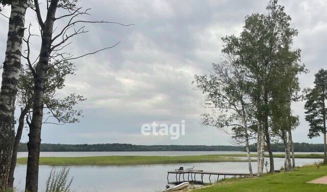 Приморское городское поселение, Приморское ДНП фото