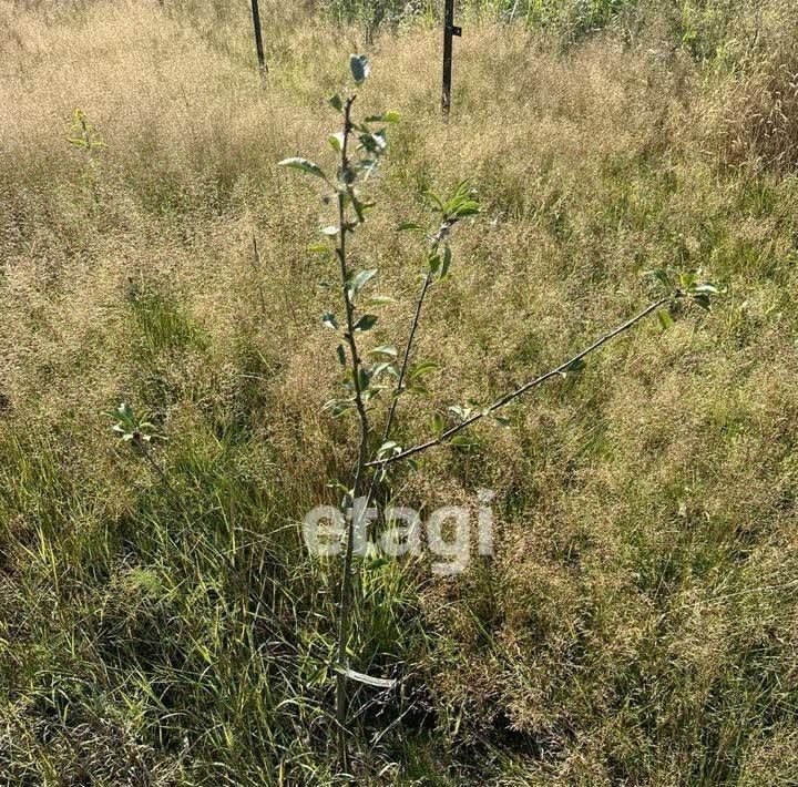 земля р-н Всеволожский д Кузьминка Свердловское городское поселение фото 4