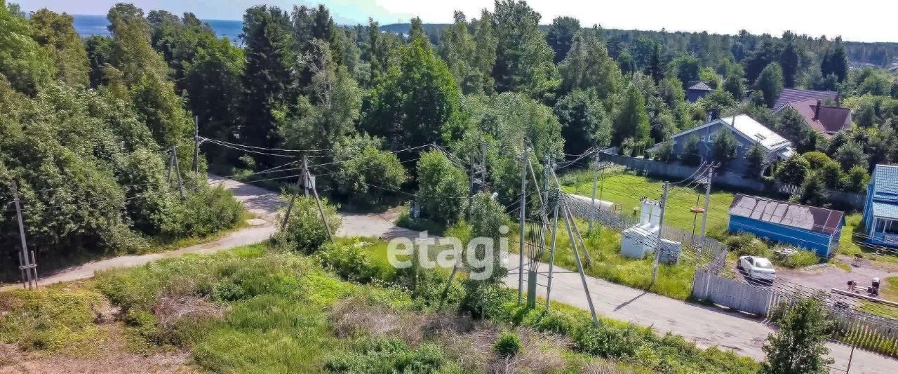 земля р-н Всеволожский д Коккорево Рахьинское городское поселение фото 3