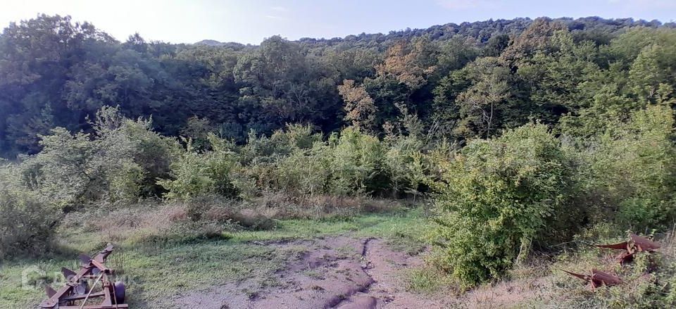 земля городской округ Сочи, село Красная Воля фото 10