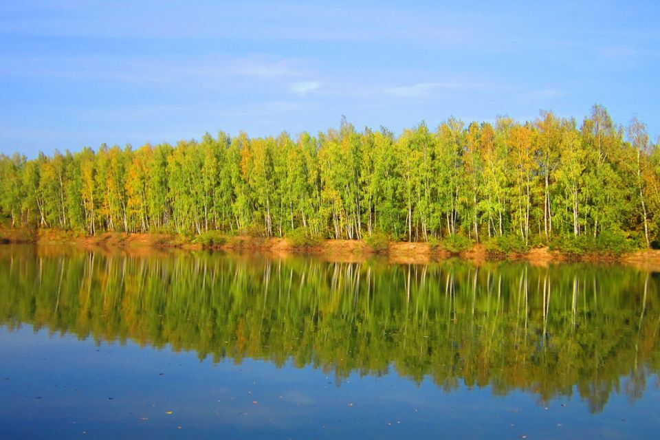 земля р-н Заокский село Домнино фото 6