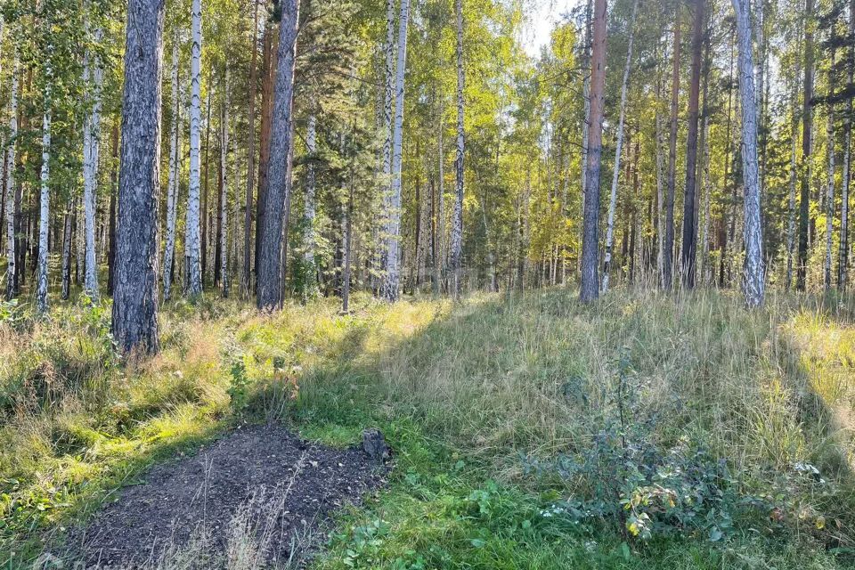 дом Полевской городской округ, СТ Надежда фото 6