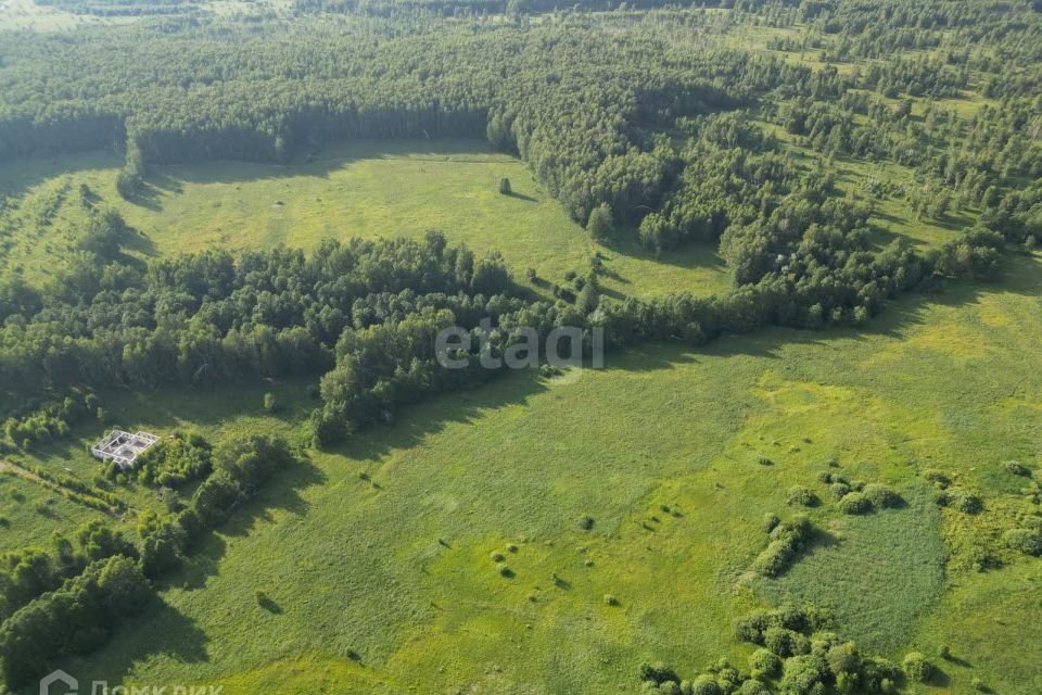 земля р-н Дальнеконстантиновский село Арманиха фото 9