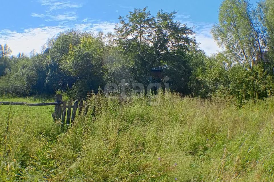 земля р-н Богородский село Афанасьево фото 9