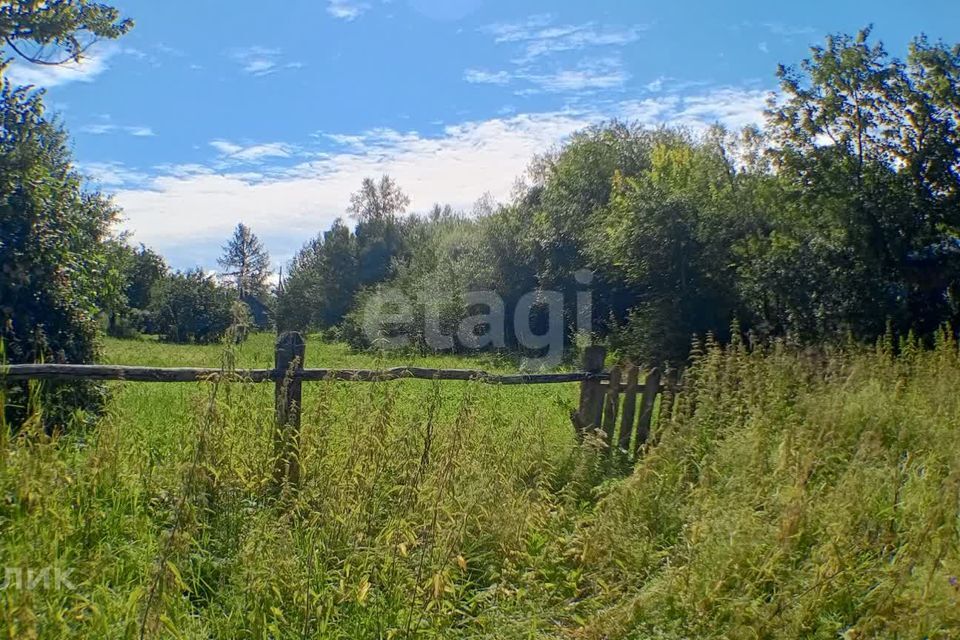 земля р-н Богородский село Афанасьево фото 10