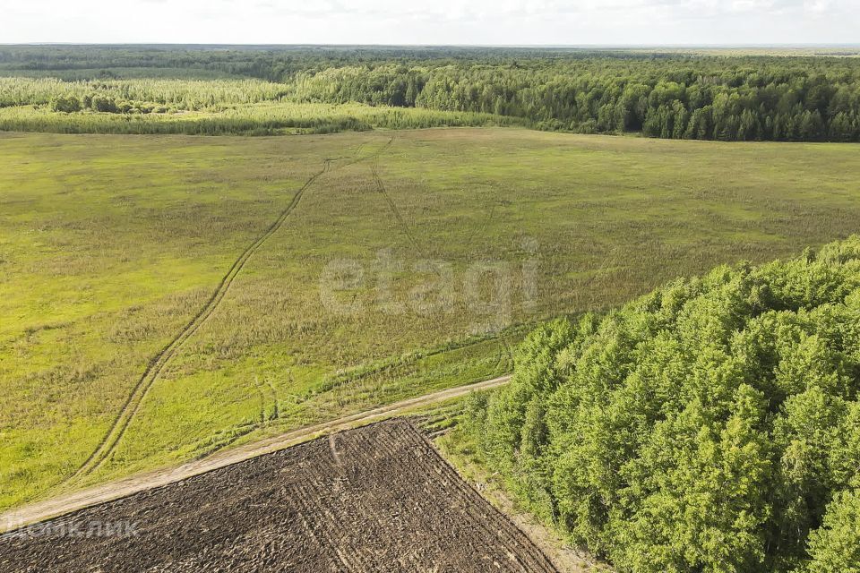 земля р-н Тюменский село Кулига фото 5