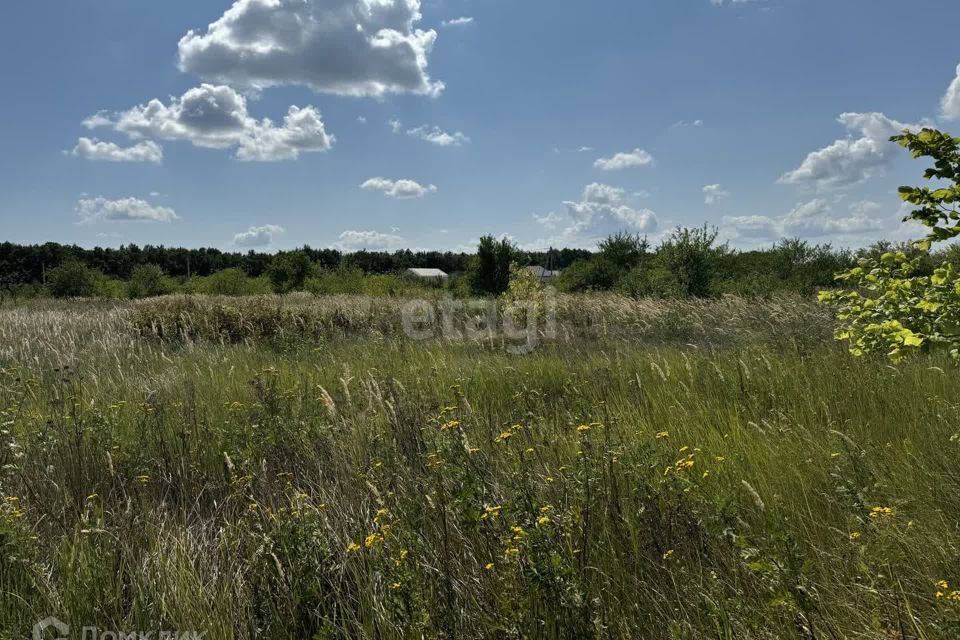 земля р-н Белгородский СНТ Автомобилист фото 7