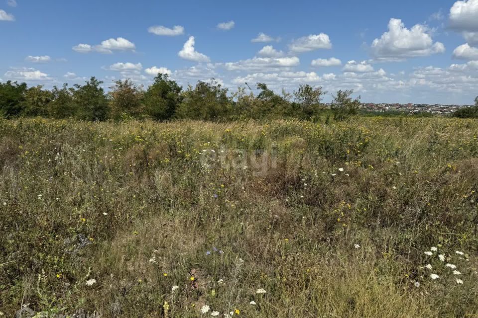 земля р-н Белгородский СНТ Автомобилист фото 6