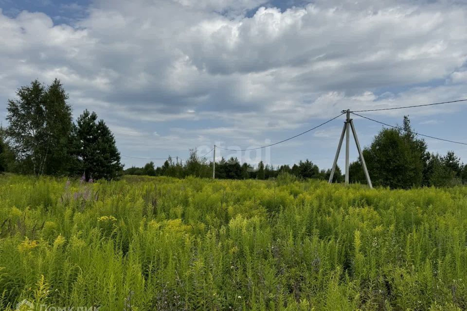 земля р-н Городецкий деревня Чуркино фото 7