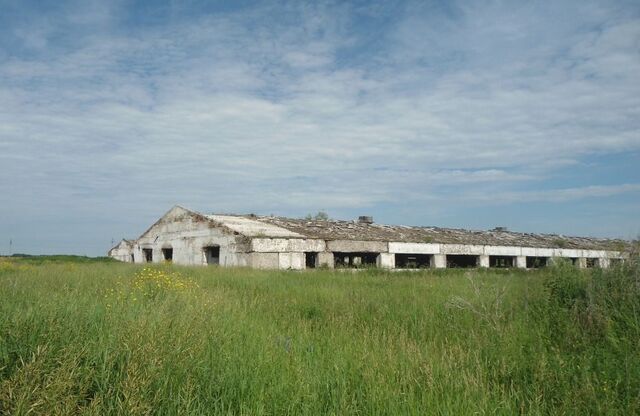 п Озерки ул Новая Заводоуковск фото