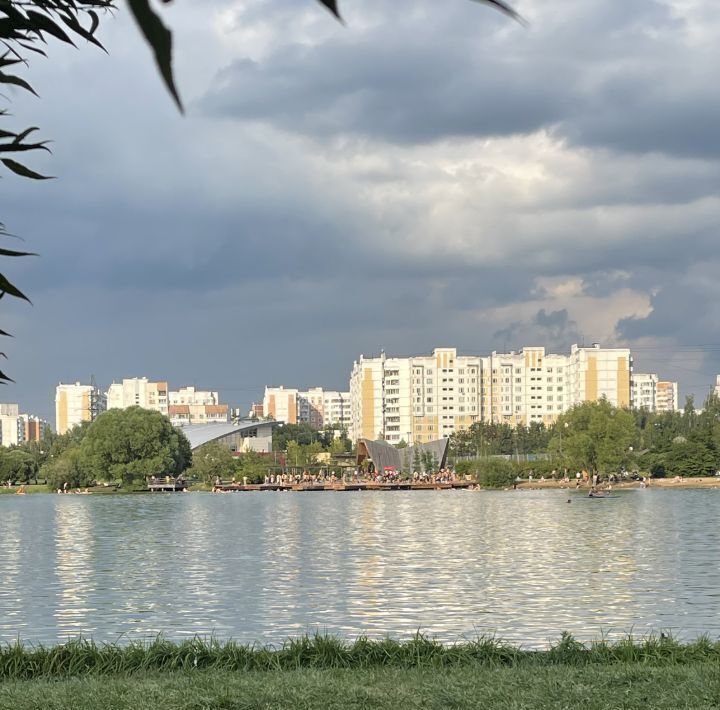 земля г Москва п Воскресенское снт терЯзово метро Бунинская аллея 354/1 фото 14