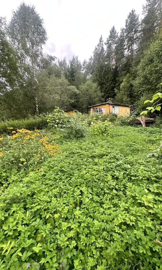 земля р-н Александровский г Александров Ярославское шоссе, 9743 км, СПК Новинка, Ярославская обл., г. о. Переславль-Залесский фото 3