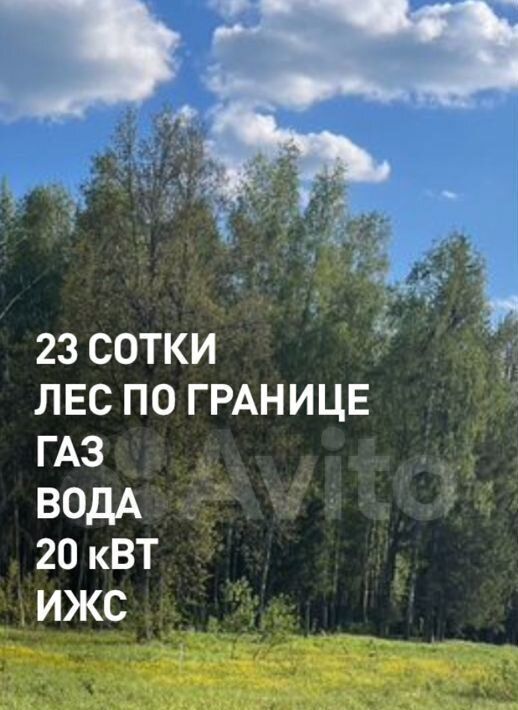 земля г Пушкино снт Свет ДНП, Волоколамский городской округ, Новый фото 13