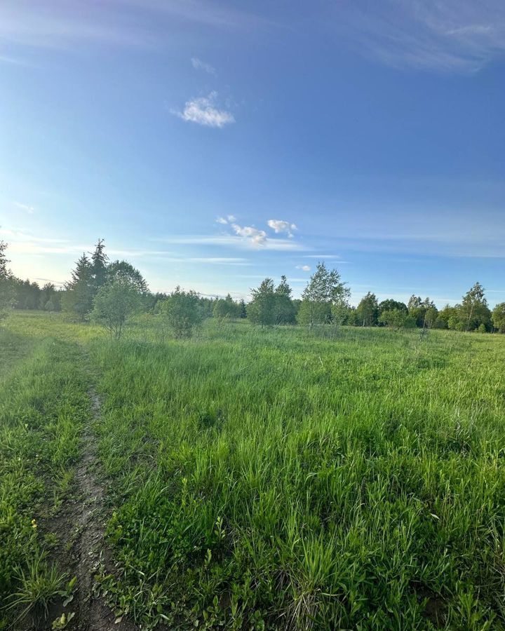 земля городской округ Наро-Фоминский д Монаково 9806 км, Верея, Минское шоссе фото 4