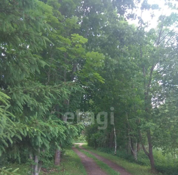 дом городской округ Дмитровский Амарант СНТ, 51 фото 9