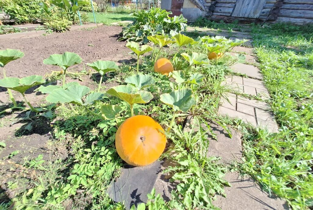 дом р-н Калининский д Аркатово снт Колос-2 фото 26