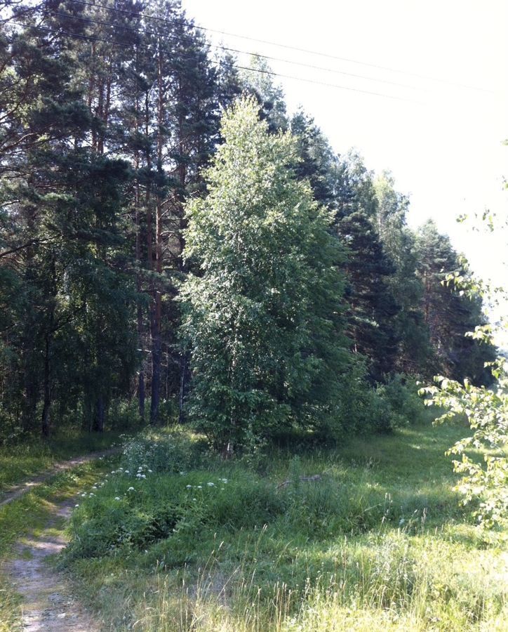 земля р-н Зубцовский г Зубцов д Борки Борковский сельский округ фото 2