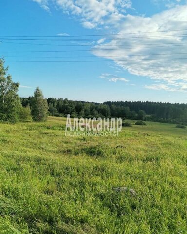 Трасса Скандинавия, 9835 км, Селезнёвское сельское поселение, Высоцк фото