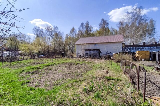 р-н Заельцовский СНТ Любитель, городской округ Новосибирск фото