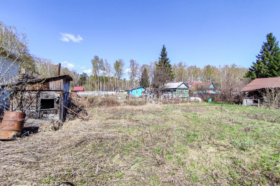 земля г Новосибирск р-н Заельцовский СНТ Любитель, городской округ Новосибирск фото 6