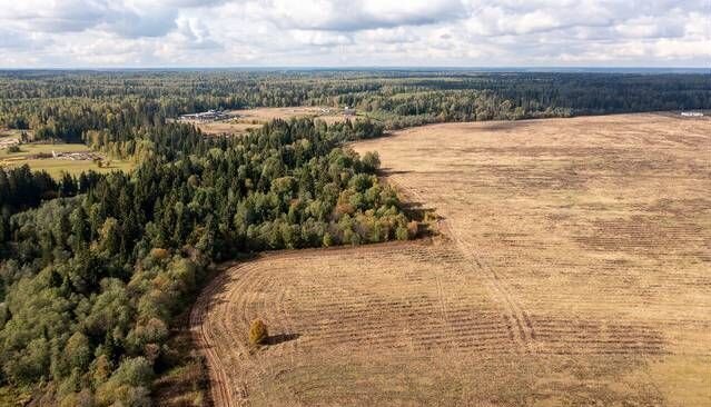 земля городской округ Истра п Глебовский 9773 км, коттеджный пос. Прилесные дачи, 60В, г. о. Истра, Волоколамское шоссе фото 8