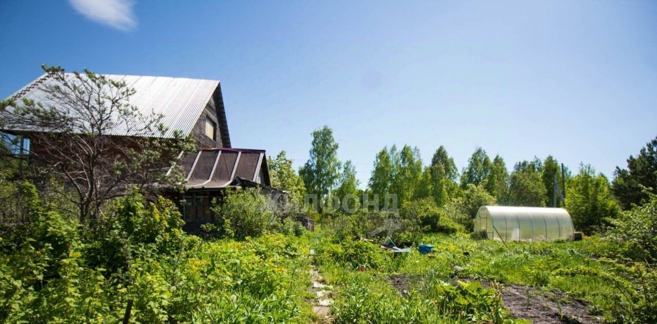 земля р-н Томский Надежда-1 садовое товарищество фото 2