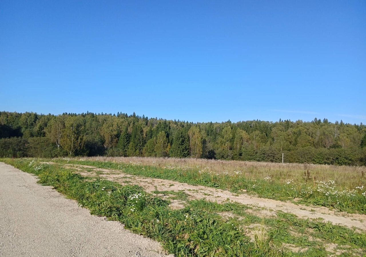 земля городской округ Дмитровский п Новосиньково 9769 км, СНТ Арбузово, Рогачёвское шоссе фото 13