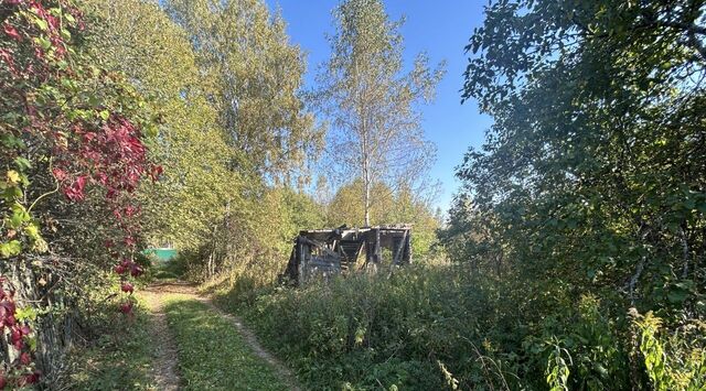 г Александров снт Марино городское поселение Александров фото