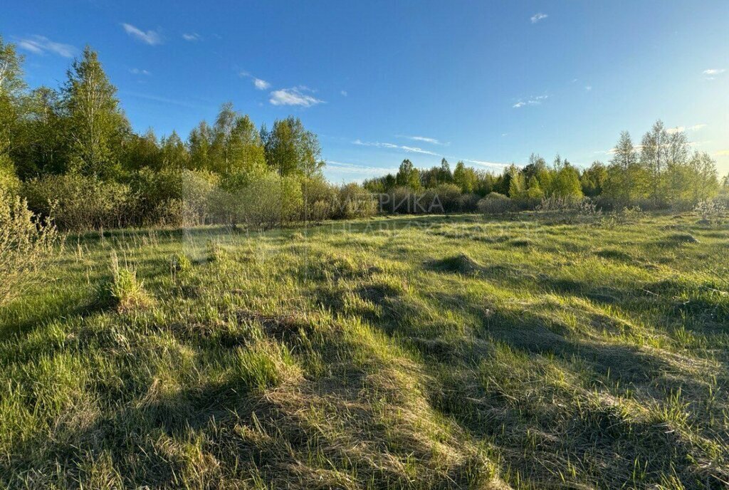 земля р-н Нижнетавдинский Новотроицкое сельское поселение фото 9