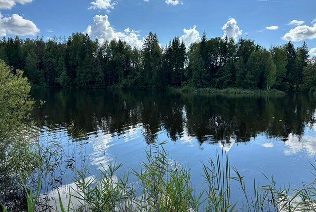 р-н Боровский д Каверино сельское поселение Совьяки фото