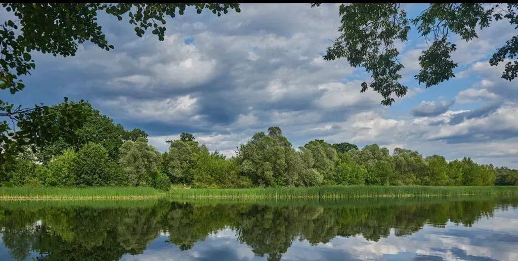 квартира р-н Рамонский рп Рамонь ул Победы 17е фото 14