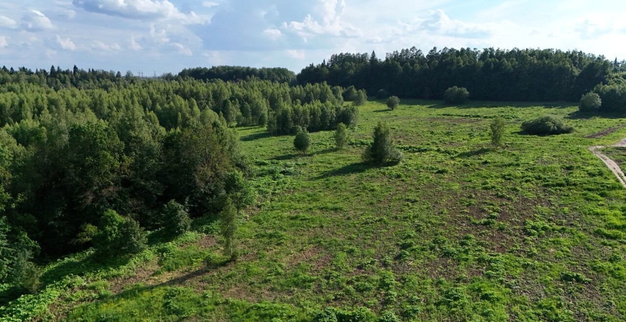 земля городской округ Дмитровский д Дмитровка 9754 км, Менделеево, Рогачёвское шоссе фото 13