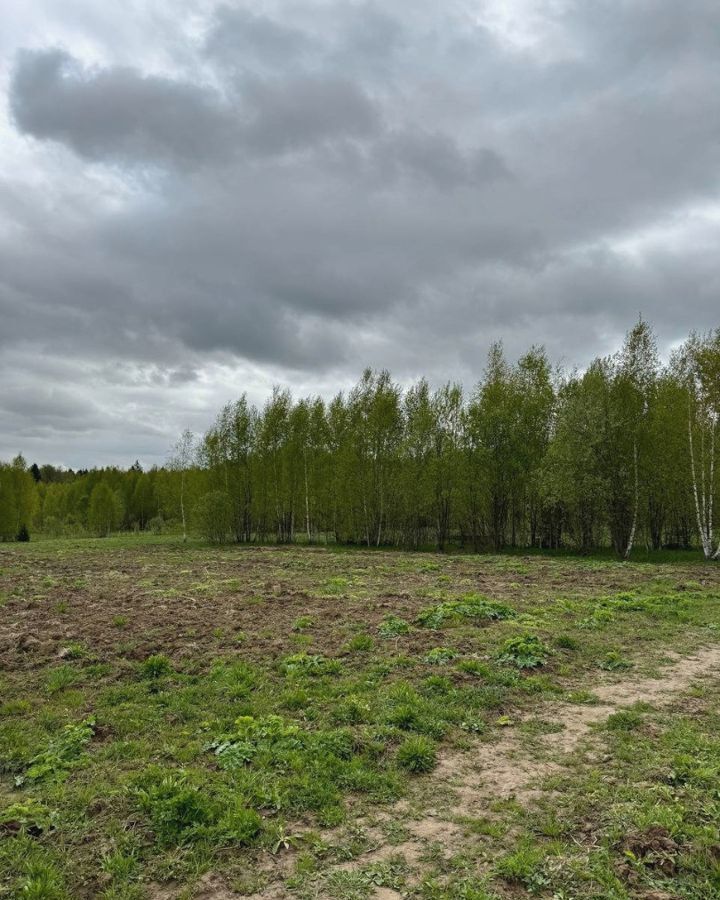 земля городской округ Дмитровский д Дмитровка 9754 км, Менделеево, Рогачёвское шоссе фото 24