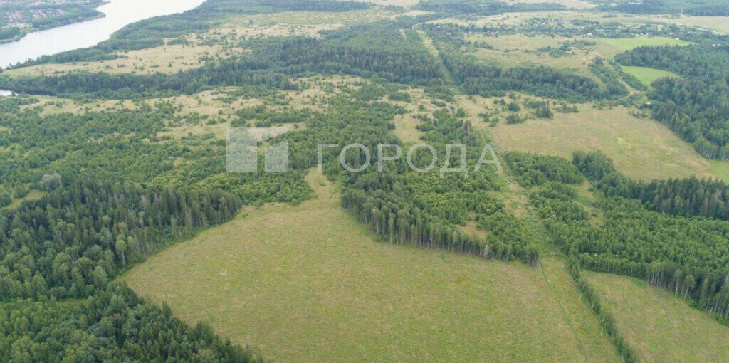 земля городской округ Можайский Бородинский территориальный отдел фото 2