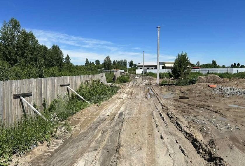 земля г Тюмень р-н Центральный снт Салют ул Цветочная 33 Центральный административный округ фото 2