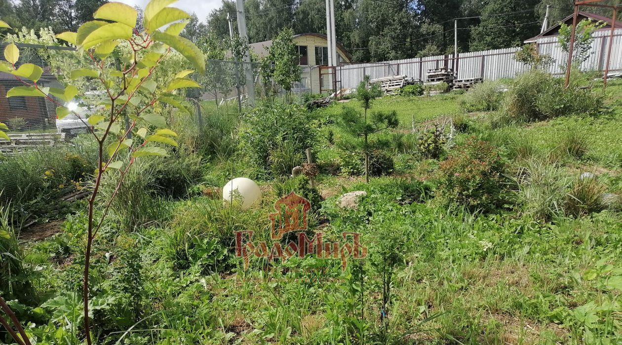 земля городской округ Пушкинский д Бортнево тер Бортневские дачи ул. Вишневая фото 9