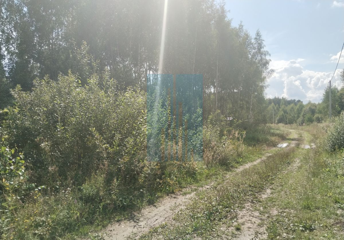 земля р-н Заокский д Искань Страховское, Калужская область, Таруса, муниципальное образование фото 4