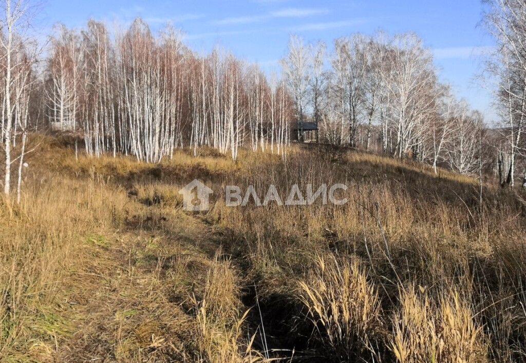 земля р-н Новосибирский Барышевский сельсовет, дачное некоммерческое партнерство Лазурный берег, Новосибирск фото 4