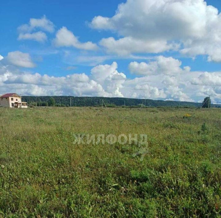 земля р-н Томский снт тер.Стрижи ул Магистральная фото 4