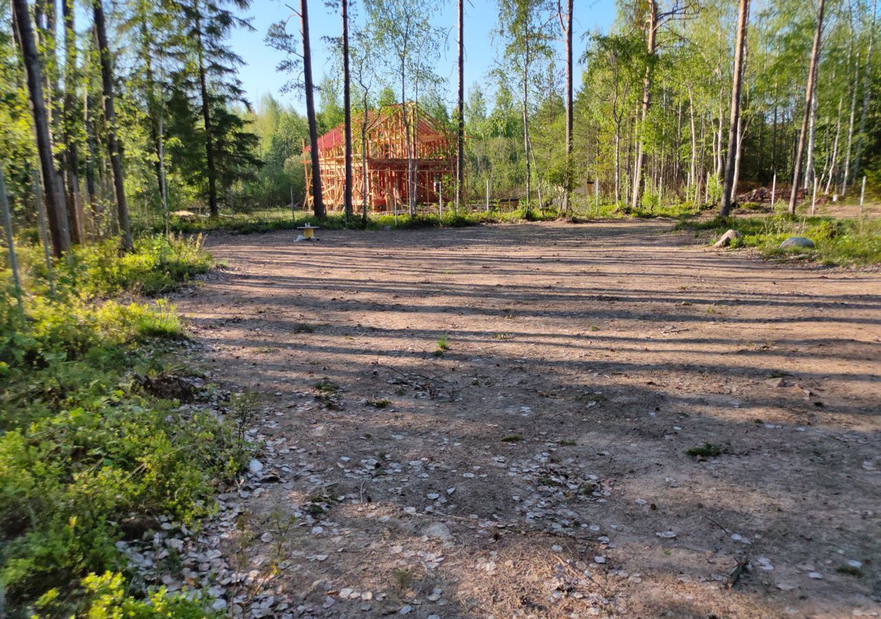 земля р-н Всеволожский д Хапо-Ое Мурманское шоссе, 9740 км, Колтушское городское поселение фото 5