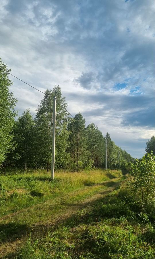 земля р-н Первомайский с Фирсово ул Есенина 18 Барнаул фото 3