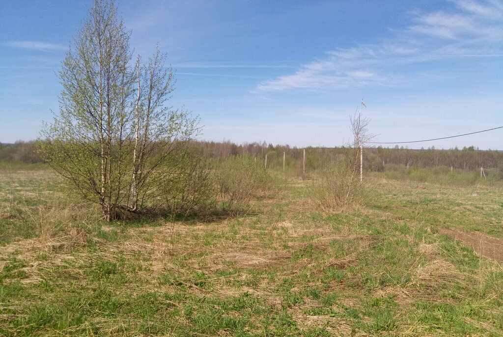 земля р-н Переславский с Ягренево городской округ Переславль-Залесский фото 6