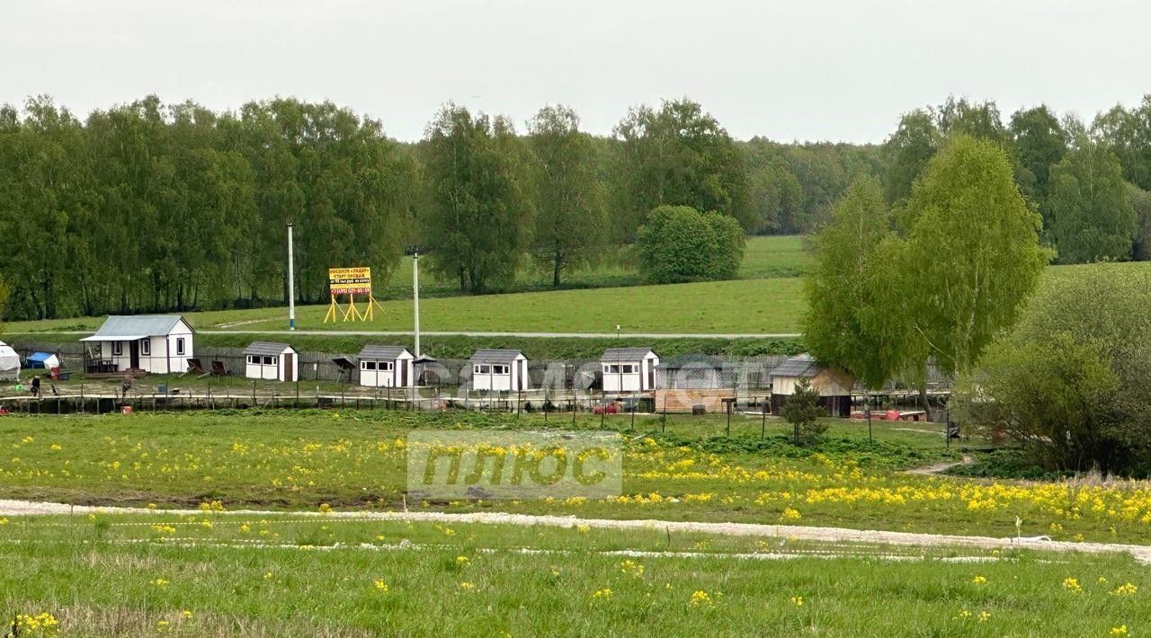 земля городской округ Домодедово д Шишкино Растуновский административный округ, Васнецово кп, 305 фото 14