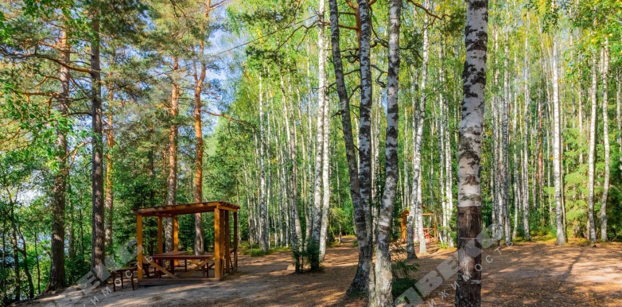 дом р-н Приозерский Сосновское с/пос, Моряк дачный потребительский кооператив фото 9