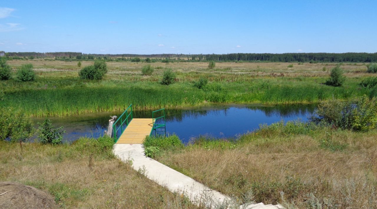 дом г Воронеж р-н Железнодорожный ул Степанова 176 микрорайон «Боровое» фото 13