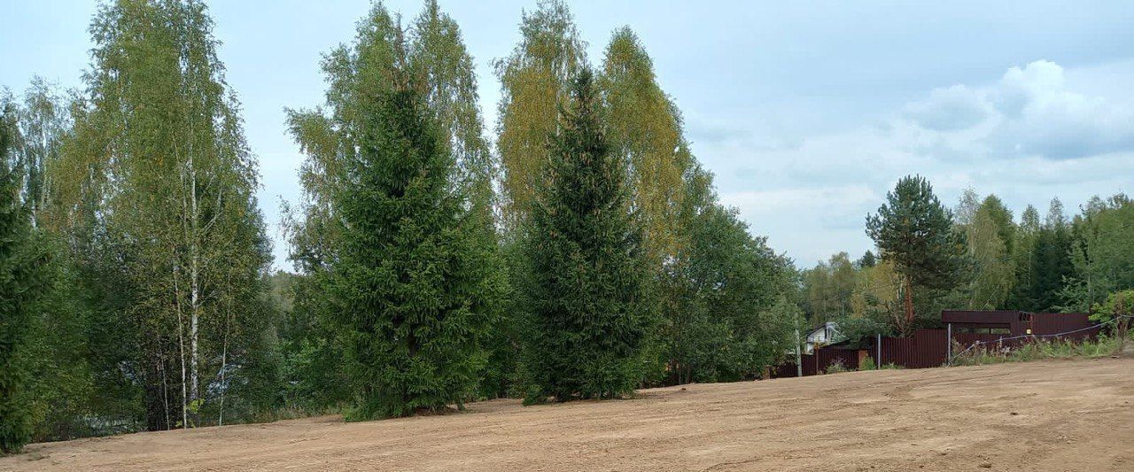 земля городской округ Дмитровский Андрейково садовое товарищество, 47 фото 2